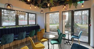 Glasgow's Queens Park Hugs and Mugs coffee shop announces opening date