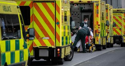 Number of Covid patients admitted to intensive care has dwindled to as few as 20 a day