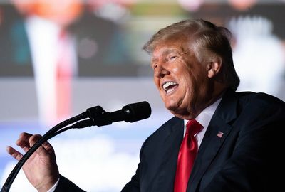 Trump ripped up "hundreds" of documents