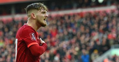 'I can’t tell you' - Harvey Elliott posts emotional message on Instagram after Liverpool goal