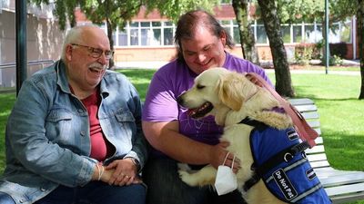 Assistance dog Sun barred from Jetstar flight in dispute over 'approved training organisation'