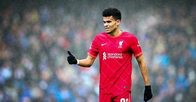 Luis Diaz sends 'incredible' message after Liverpool debut