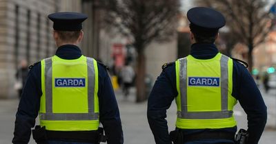 Gardai investigating 'all circumstances' after female body found in Dublin