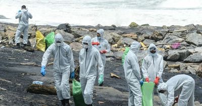 'Endless tide of plastic pellets are killing paradises and the fishing industry'