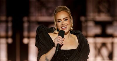 Adele's modest rider demands uncovered after her Las Vegas 'Diva meltdown' disappointed fans