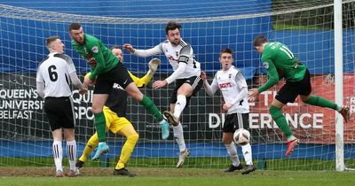Glentoran have 'double' vision and Robbie McDaid is relishing crunch games ahead