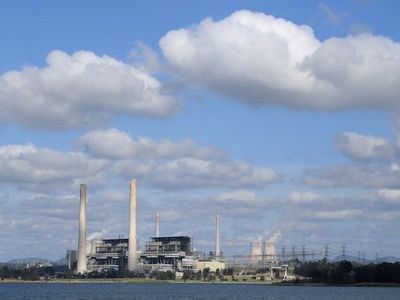 Environment groups condemn NSW power plant
