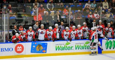 Blackhawks fired Rockford IceHogs trainer in November for alleged sexual harassment