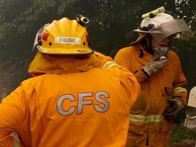 SA plantation blaze contained