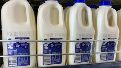 Woolworths scraps 10-cent drought levy for dairy farmers as conditions improve