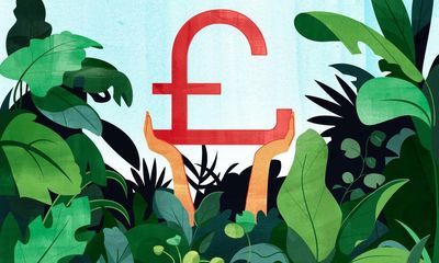 Green money: how your finances can help the planet