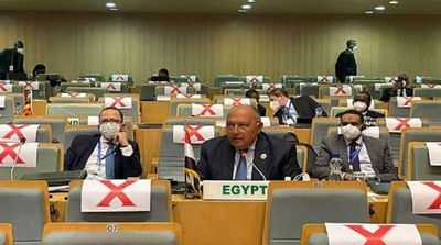 Egypt Calls for African Strategy against Terrorism