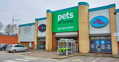 Pets at Home names outgoing Sky boss as new CEO