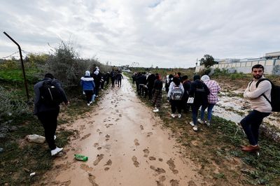 From sewage dump to nature reserve, UN hopes to save Gaza Valley