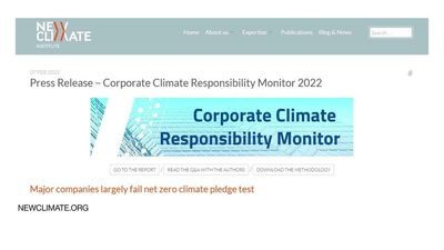 Major multinationals falling short on 'net zero' climate pledges, report claims