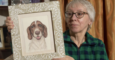 Granny in tears after DPD delivery driver leaves dog's ashes in bin