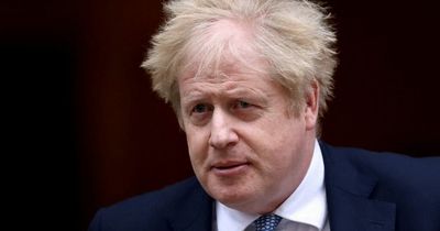Boris Johnson 'not a complete clown' says his new spin doctor
