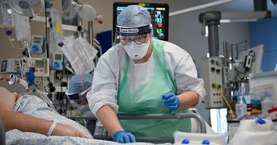 Scottish Government announces no deaths and 5,809 covid cases in last 24 hours