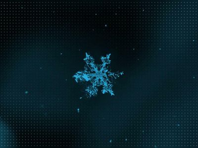 Why Snowflake Shares Are Trading Higher Today