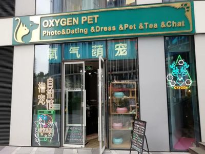 'Ruff' Ride For Pet-focused Boqii, as Slide Triggers Risk of Wall Street Delisting