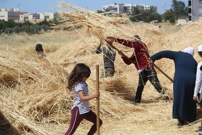 Wheat blessing: Jordan’s grassroot movement for food sovereignty