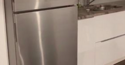 Confused Airbnb owner baffled by guest who couldn't open fridge or use oven