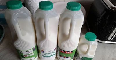 Milk from Aldi, Iceland, Tesco, and M&S were compared to each other and there was one clear winner