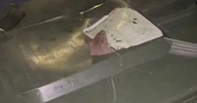 Edinburgh flats completely overrun by 'pipe-climbing rats' that block bins