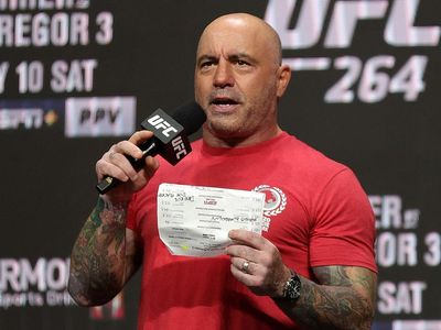 Joe Rogan personally removed 113 podcast episodes from Spotify after ‘his own reflections’, CEO says