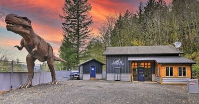 You can book a Jurassic Park themed Airbnb stay with its own animatronic dinosaurs