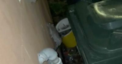 Scots flats completely overrun by ‘pipe-climbing rats’ that block bins, says horrified carer
