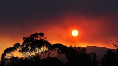 Black Tuesday 1967 bushfire legacy lives on in fire trail upgrade on Hobart's kunanyi/Mt Wellington