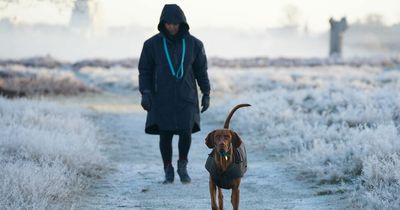 UK snow forecast: Britain to be blanketed in 17 INCHES next week as ‘Arctic assault’ hits