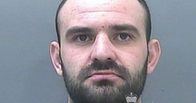 Man found in house with £150k worth of cannabis plants was 'the gardener'