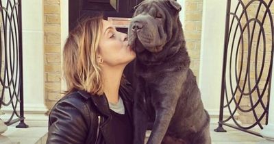 Louise Redknapp 'absolutely heartbroken' as beloved pet dog dies