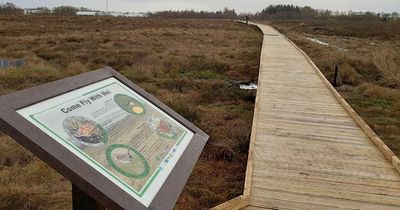 Lanarkshire council creates two new jobs to deal with peatlands in the area