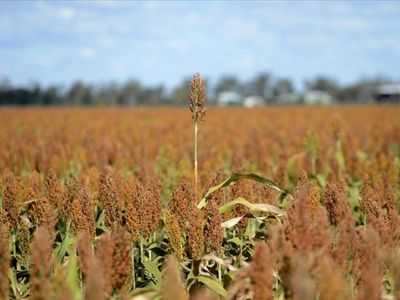 Emissions targets costly for grain growers