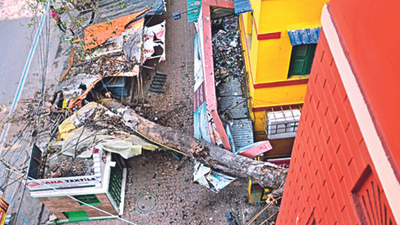 ‘Amphan casualty’ 21 months later: Tree damages property in Kolkata