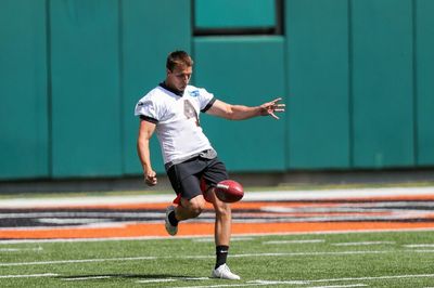 Cincinnati Bengals sign former Ohio State punter Drue Chrisman