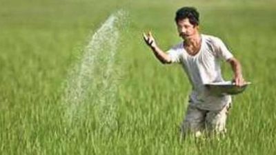 Andhra Pradesh plans to stock 23.5 lakh metric tonnes of fertiliser for Rabi season