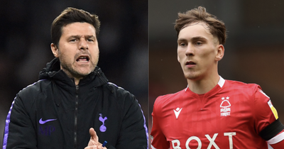 Mauricio Pochettino can repeat Tottenham trick to solve Manchester United midfield problem