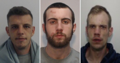 Violent trio jailed for terrifying brawl involving saw and table leg on 'busy street'