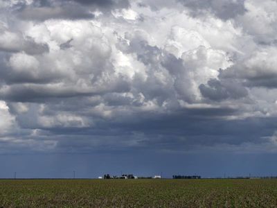 Qld govt urged to act on farmers' concerns