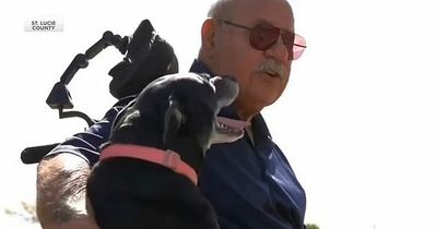 Hero dog saves owner, 81, from drowning after wheelchair rolled into lake