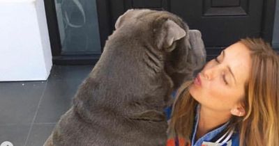 Louise Redknapp heartbroken as she tells fans her beloved pet dog has died