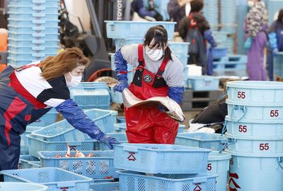 Japan halts shipment of black rockfish caught off Fukushima over radiation