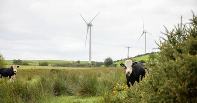 All Northern Ireland homes powered by renewables as Irish Rugby fans got ready to watch the Six Nations
