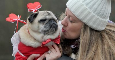 Alternative Valentine's Day events in Bristol for anyone looking to avoid romance