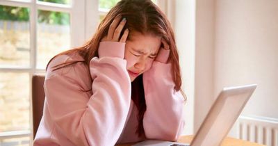 Safer Internet Day 2022: Experts share top tips to keep children safe browsing online