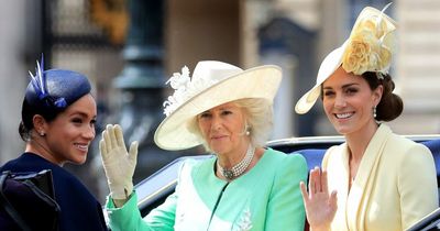 "Difficult" Meghan Markle could learn from future queen Camilla, expert claims